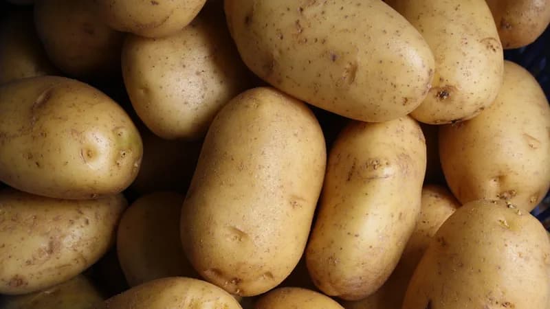 Kartoffeln von Buscherhof Gallerie Bild 1